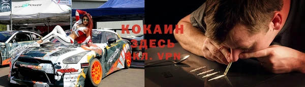 твердый Абаза
