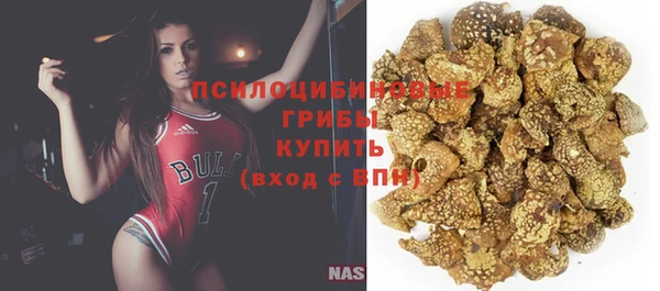 твердый Абаза