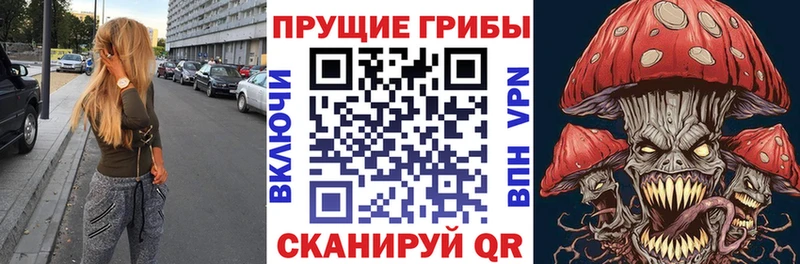 где купить   Астрахань  Галлюциногенные грибы прущие грибы 
