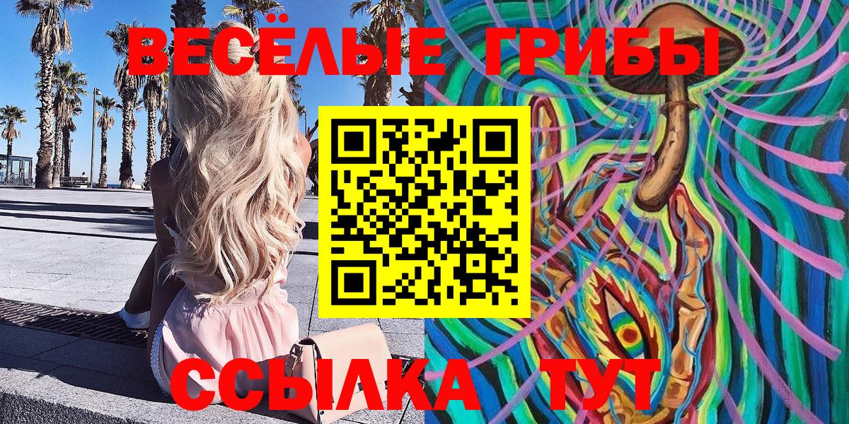 Псилоцибиновые грибы Psilocybine cubensis Астрахань